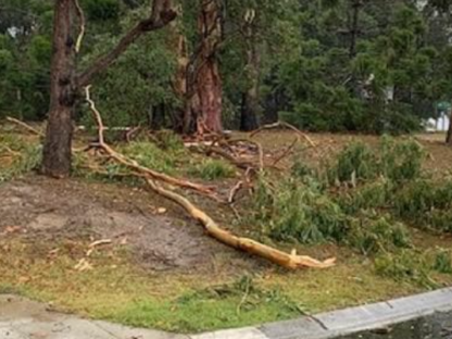 布里斯班狂风暴雨来袭!数万住户停电