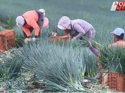 日薪500刀干不干?澳洲农场主打出高薪广告却仍招不到工