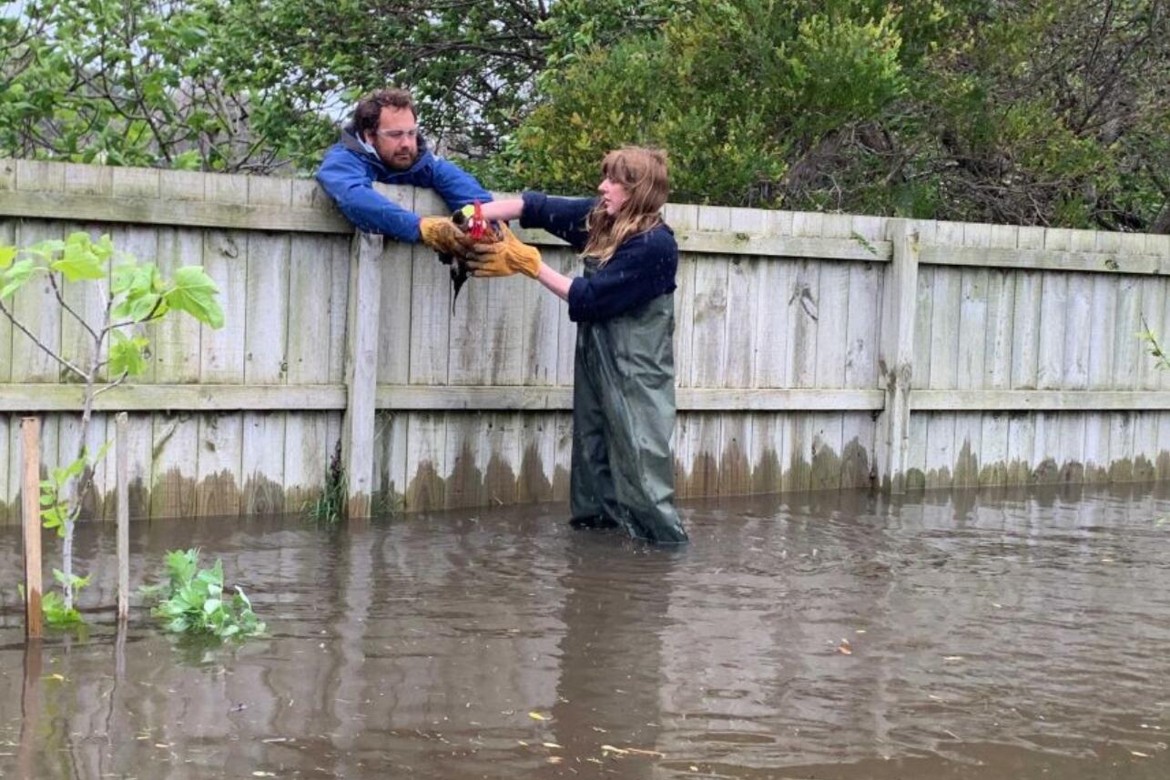 警惕!维州今春雨水多,西南部已发生特大洪水!