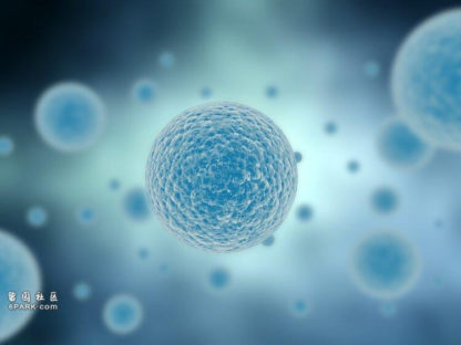 华盛顿大学成功逆转糖尿病 治愈或将成现实