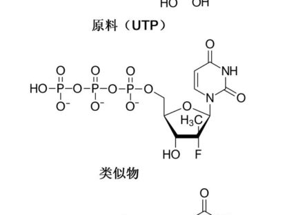 患者过亿!让科学家获诺奖的丙肝病毒怎么发现的