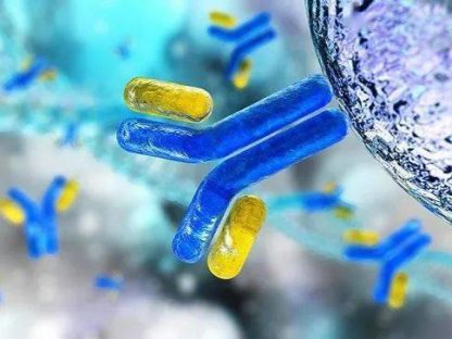 治疗特朗普新冠的特效药:“抗体鸡尾酒” 是什么“酒”?