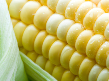 是淀粉!3常见「伪蔬菜」是营养师眼中隐形肥胖兇手