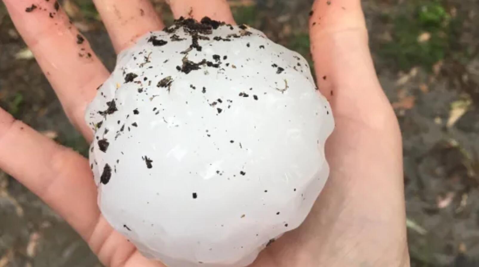 尺寸堪比垒球 昆州多地遭受冰雹侵袭