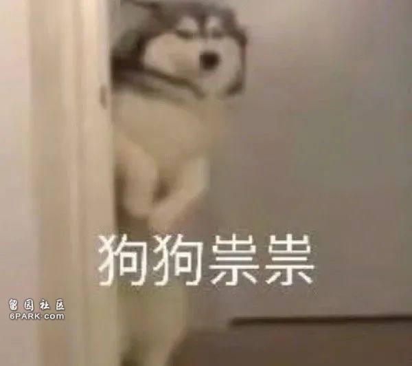 卧槽!新iPhone真有重大升级 只是要再等两年