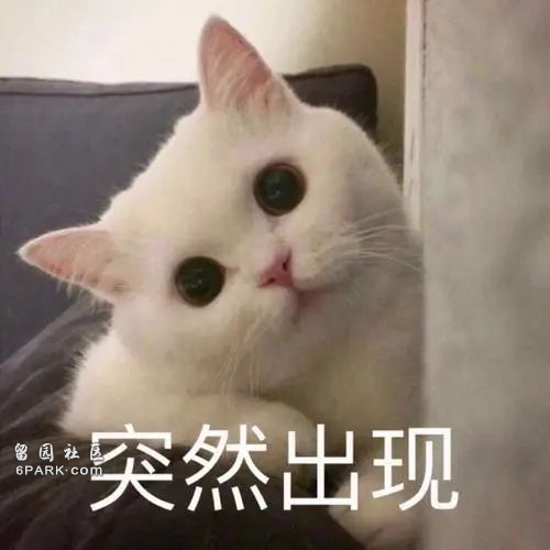 卧槽!新iPhone真有重大升级 只是要再等两年