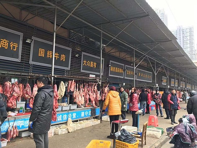 《环球时报》称新冠病毒或来自澳洲! 病毒或是通过冷链食品被进口到武汉