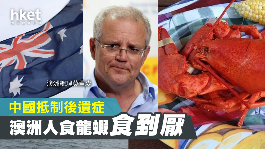 中国制裁澳洲龙虾 澳洲人自产自销吃到快吐了