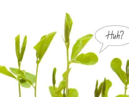 科学试验显示:植物在生长过程中具备一定“思考能力”