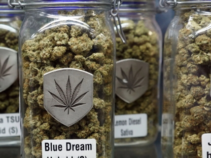 大麻制品企业纷纷推出广告:打疫苗,就送大麻