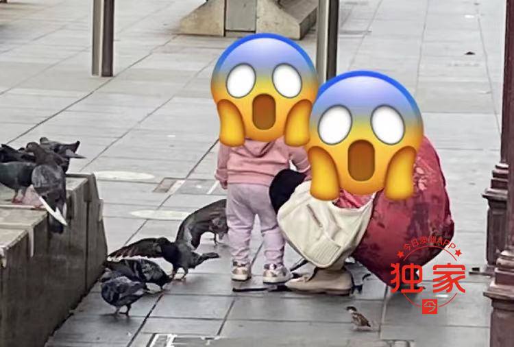 网曝中国大妈澳洲CBD“溜鸽子”,给鸽子拴绳狂飞,被批“满世界丢人”