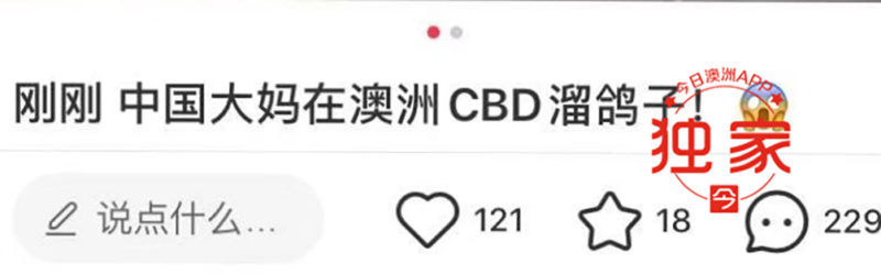 网曝中国大妈澳洲CBD“溜鸽子”,给鸽子拴绳狂飞,被批“满世界丢人”