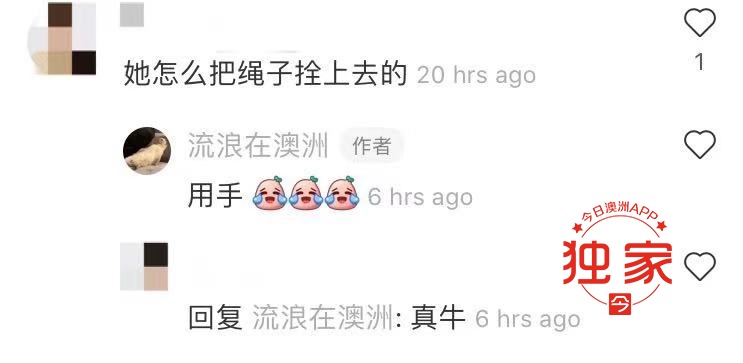 网曝中国大妈澳洲CBD“溜鸽子”,给鸽子拴绳狂飞,被批“满世界丢人”