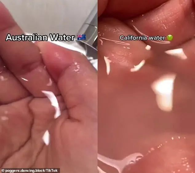 澳洲的自来水有多干净?美国人都看傻了!没有对比就没有伤害啊…
