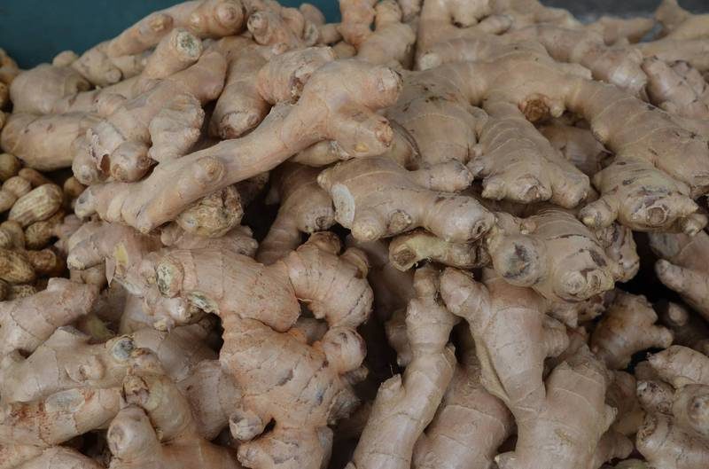 发芽的姜还能吃吗?专家这样说…