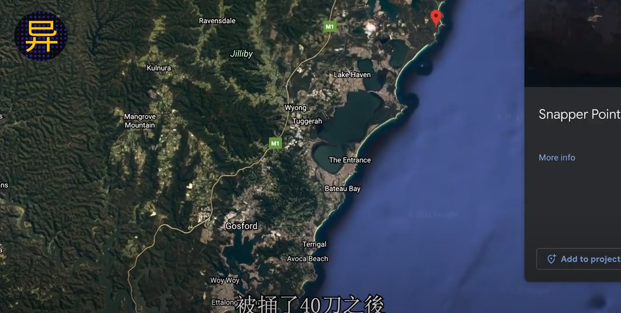 悉尼华人女留学生遭同居姨夫杀害,身中40多刀后被抛尸,案件疑点重重,凶手将被改判