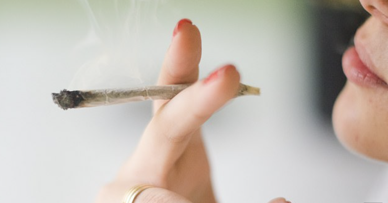 昆州科学家警告:抽大麻者染上其他毒品和酗酒可能性超高!