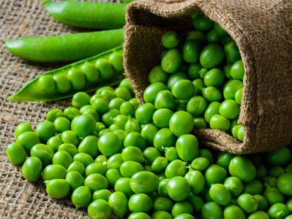 2050年世界将出现肉类短缺 专家:可用豌豆代替