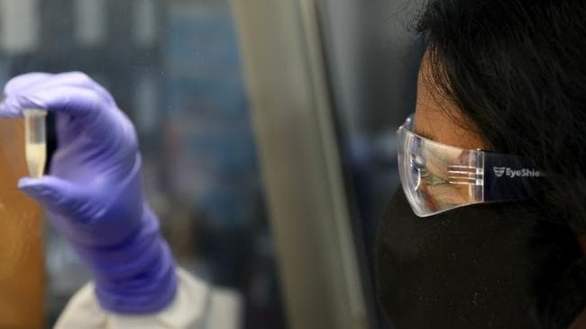 墨尔本西部废水中惊现病毒片段,24郊区居民请立即前往检测!