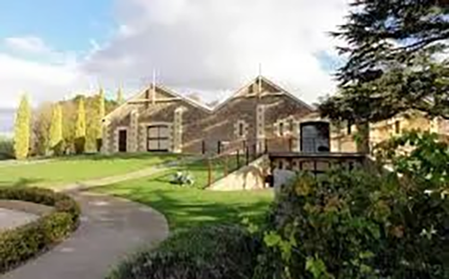 被中国抛弃后:全球最好的红酒在澳洲20澳元就能搞定