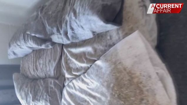 中企斥巨资拿下澳洲度假岛屿!网站大量差评:五星酒店顶多就两星