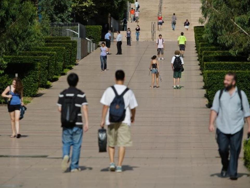 留学生上网课,悉尼各大学附近房产的炒房客叫苦连连