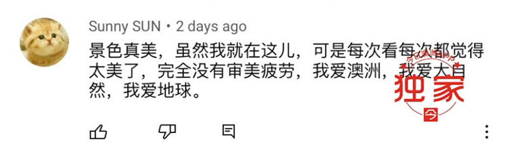 “中国发展那么好,为啥爱国的华人不回国?”澳华人油管博主灵魂拷问引热议